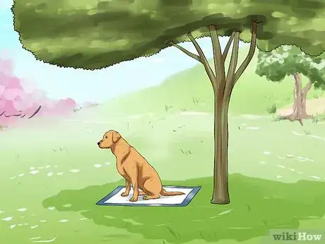 Imagen titulada Use Puppy Pads and Outdoor Potty Training Together Step 10