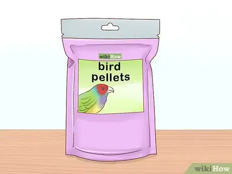 Imagen titulada Feed an African Grey Parrot Step 1