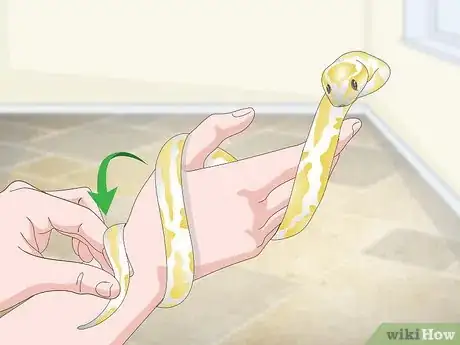 Imagen titulada Build a Relationship with Your Snake Step 8