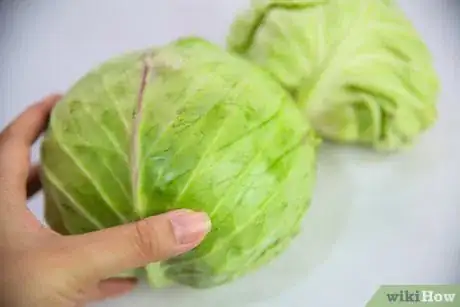 Imagen titulada Select and Store Cabbage Step 2