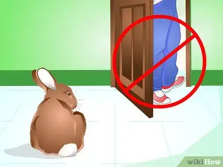 Imagen titulada Deliver Oral Medication to Rabbits Step 4