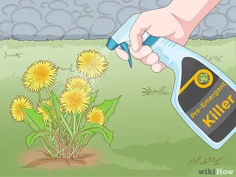 Imagen titulada Get Rid of Dandelions in a Lawn Step 12