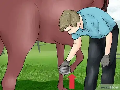 Imagen titulada Pick a Horse Hoof Step 4