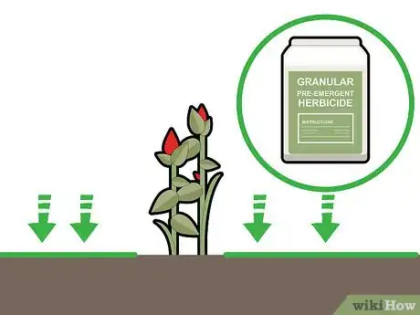 Imagen titulada Kill Grass Invading a Flower Bed Step 9