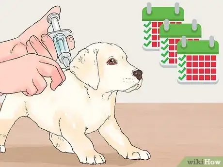 Imagen titulada Give Puppy Shots Step 5