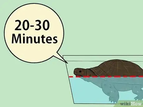 Imagen titulada Care for a Hibernating Turtle Step 8