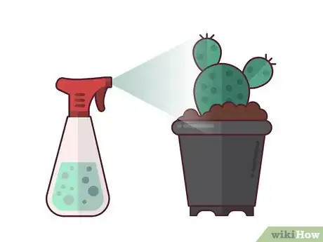 Imagen titulada Grow Cactus Indoors Step 6