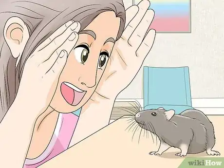 Imagen titulada Play with Your Pet Rat Step 2