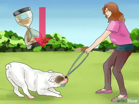 Imagen titulada Train a Bully Breed Dog Step 11