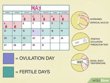 Imagen titulada Use a Fertility Calendar Step 4