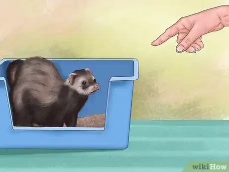 Imagen titulada Litter Train Your Ferret Step 5