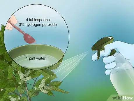 Imagen titulada Use Hydrogen Peroxide in the Garden Step 8