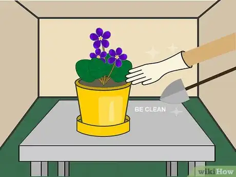 Imagen titulada Grow African Violets Indoors Step 09