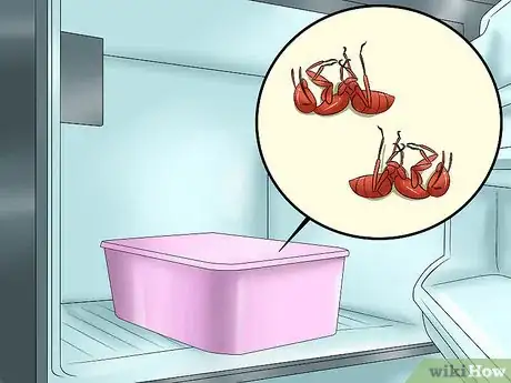 Imagen titulada Keep Ants Out of Pet Food Step 6