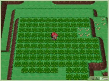 Imagen titulada Catch Pikachu in Pokemon Platinum, Diamond, and Pearl Step 5