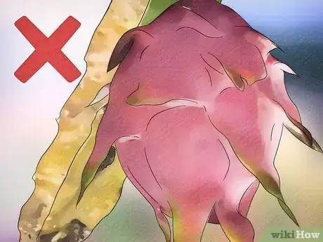 Imagen titulada Tell if a Dragon Fruit Is Ripe Step 6