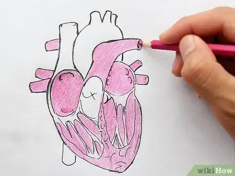 Imagen titulada Draw the Internal Structure of the Heart Step 13