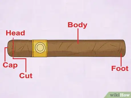 Imagen titulada Cut a Cigar Step 1