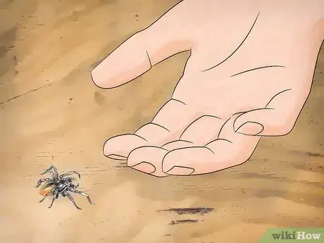 Imagen titulada Kill Spiders when You Have Arachnophobia Step 12