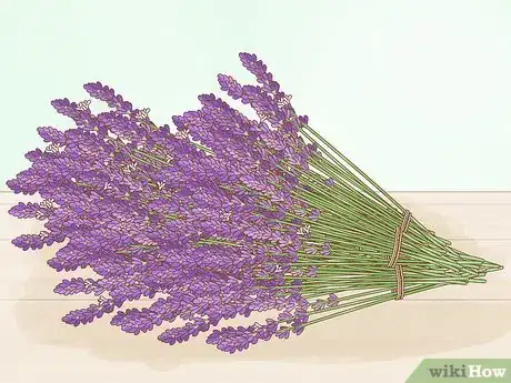 Imagen titulada Harvest Lavender Step 4