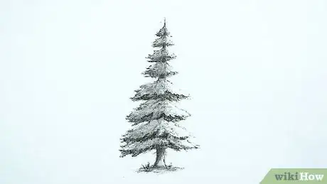 Imagen titulada Draw a Detailed Tree Step 11