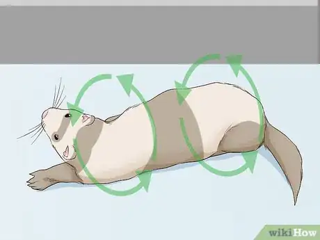 Imagen titulada Understand Ferret Body Language Step 6