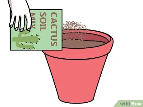 Imagen titulada Care for Succulents Step 2