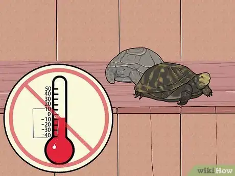 Imagen titulada Care for a Hibernating Turtle Step 9