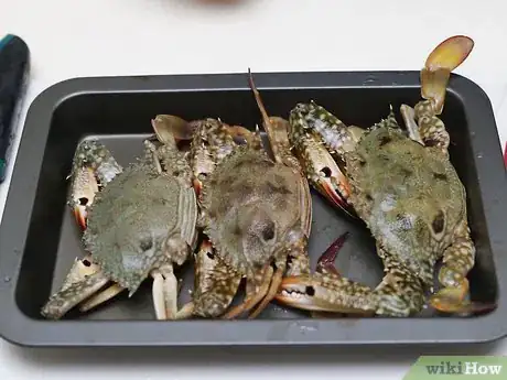 Imagen titulada Cook a Crab Step 4