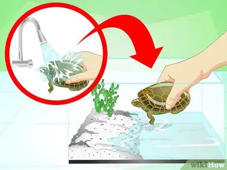 Imagen titulada Bathe a Turtle Step 7