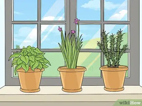 Imagen titulada Use Herbs to Freshen the Air Step 22