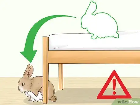 Imagen titulada Heal a Leg Fracture in a Rabbit Step 13