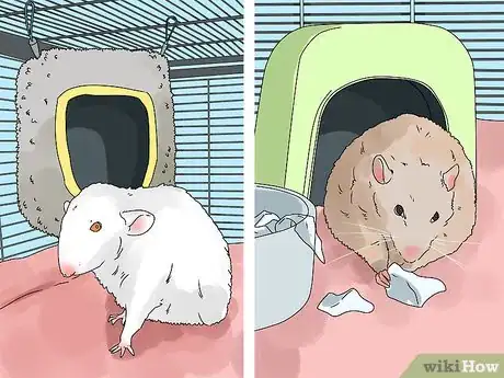 Imagen titulada Introduce a New Pet Rat to Another Rat Step 4