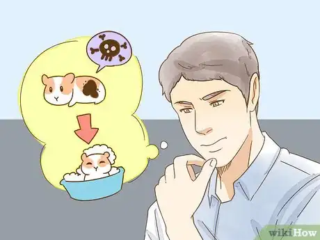 Imagen titulada Give Your Hamster a Bath Step 10