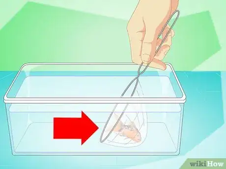 Imagen titulada Change the Water in a Fish Bowl Step 12