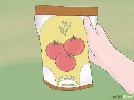 Imagen titulada Grow Tomatoes from Seeds Step 1