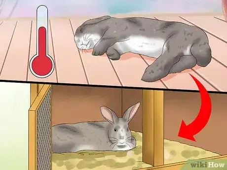 Imagen titulada Treat Heat Stroke in Rabbits Step 20