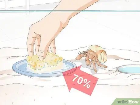 Imagen titulada Feed Hermit Crabs Step 10