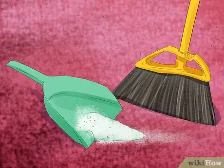 Imagen titulada Clean Carpets Step 11