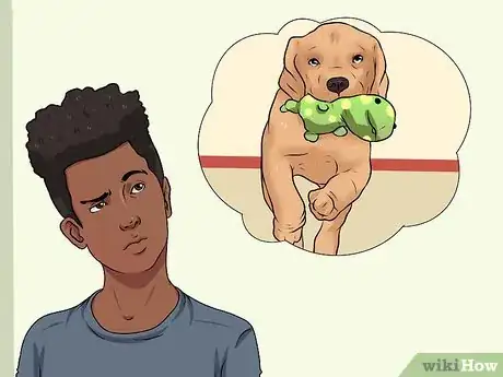 Imagen titulada Teach a Dog to Fetch Step 3