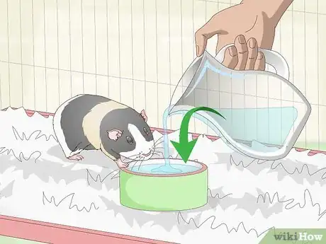 Imagen titulada Keep Your Guinea Pig Cool in Hot Weather Step 5