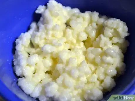 Imagen titulada Maintain Kefir Grains Step 1