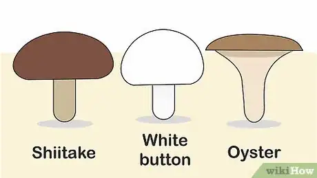 Imagen titulada Grow Mushrooms Indoors Step 1