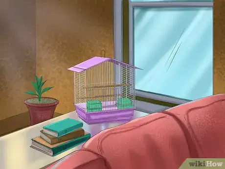 Imagen titulada Care for a Conure Step 2