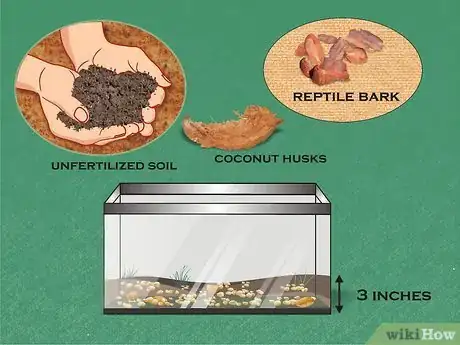 Imagen titulada Create a Terrarium for an American Toad (Bufor Americanus) Step 2