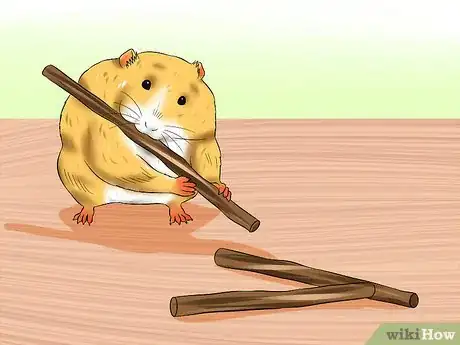 Imagen titulada Care for a Hamster That Bites Step 2