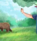 escapar de un oso