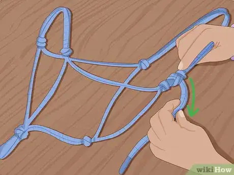 Imagen titulada Tie a Rope Halter Step 14