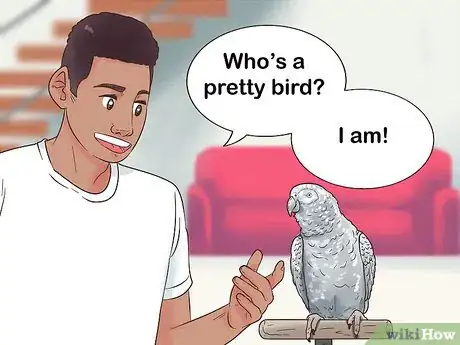 Imagen titulada Encourage an African Grey Parrot to Speak Step 14