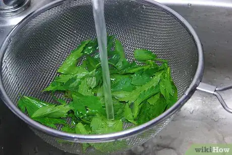 Imagen titulada Dry Herbs in the Oven Step 9